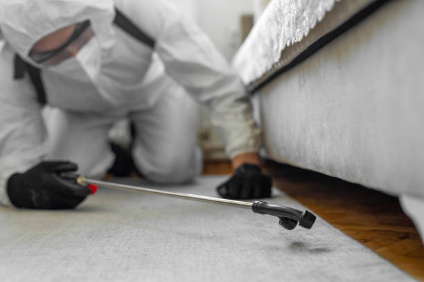 Professional Bed Bug Control technician working in Llano County County, TX